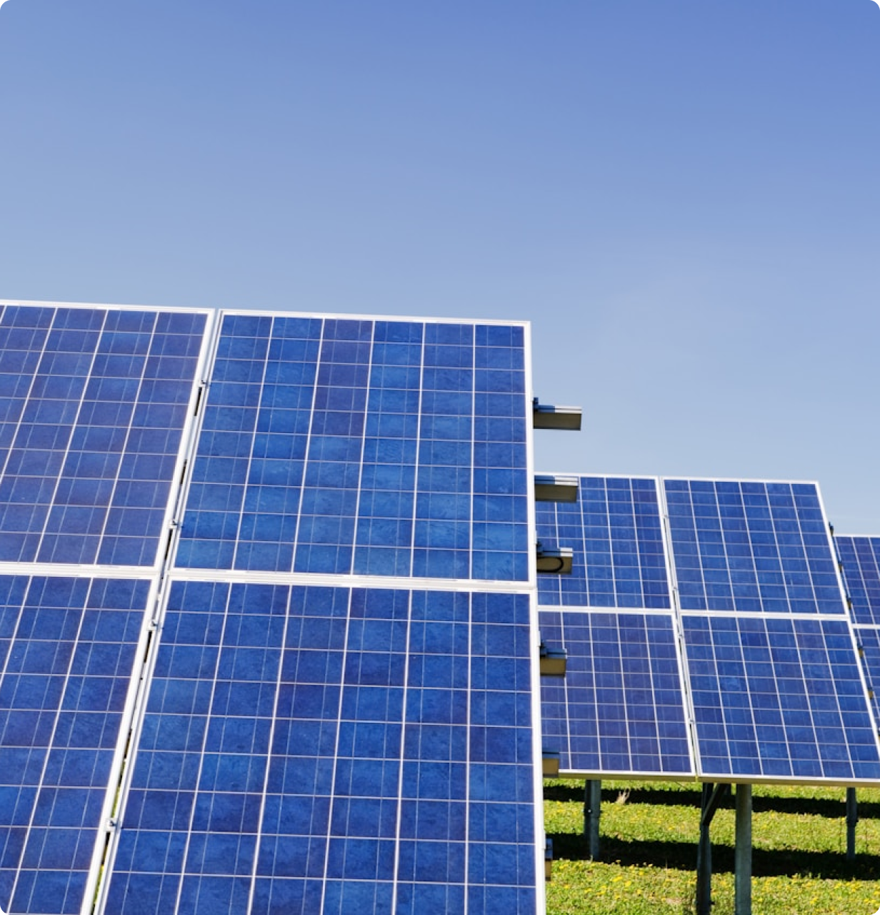 Image of Solar Panels in a particular area